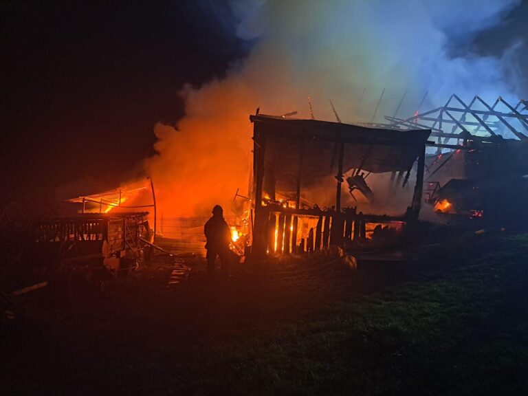 Pożar budynku gospodarczego w Grybowie. Na miejscu pracowało kilka zastępów straży pożarnej [FOTO]