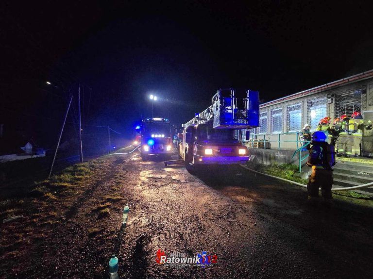 Pożar hali magazynowej w Mogilanach