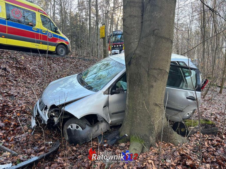 Samochód osobowy uderzył w drzewo w miejscowości Tenczynek
