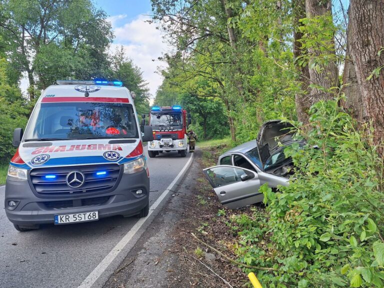 Dwie osoby poszkodowane po uderzeniu samochodu osobowego w drzewo w miejscowości Lusina