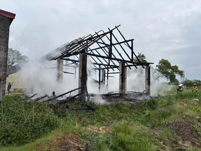 Pożar budynku gospodarczego w Nowej Wsi Szlacheckiej