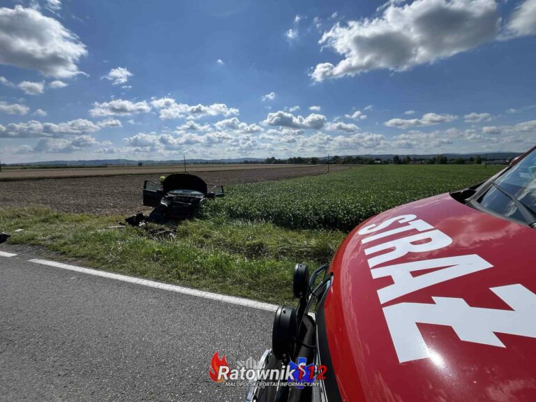 Wypadek w Krakuszowicach (pow.Wielicki) – samochód osobowy uderzył w betonowy mostek, jedna osoba ranna