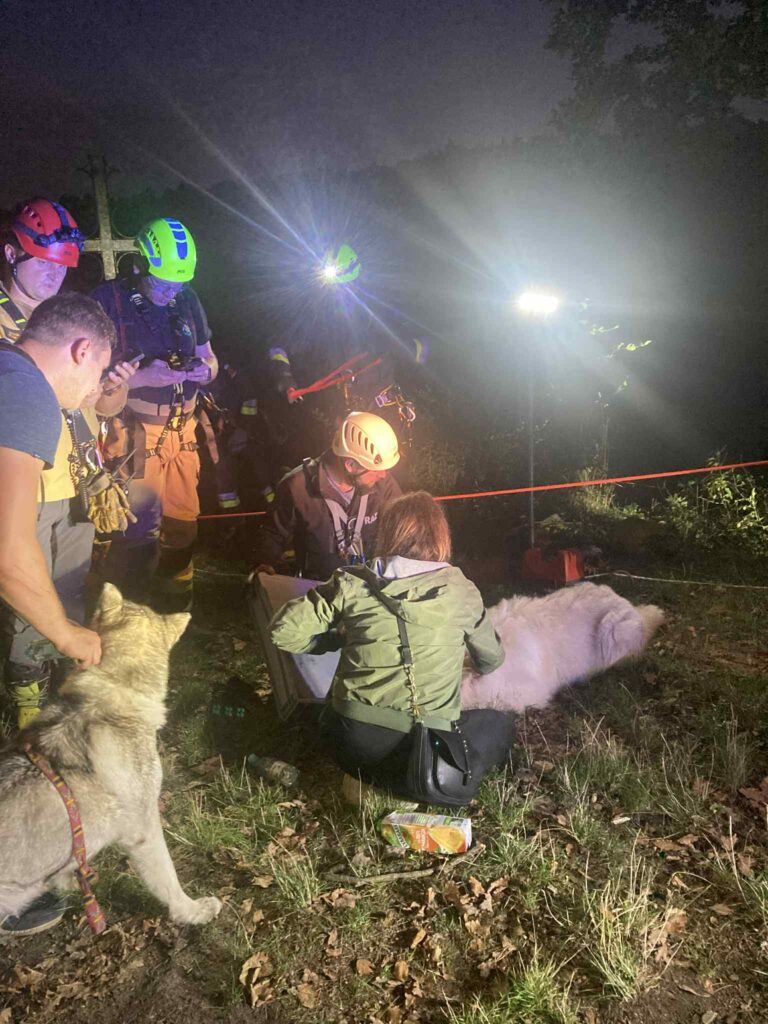 Strażacy uratowali psa uwięzionego na skale w Zabierzowie