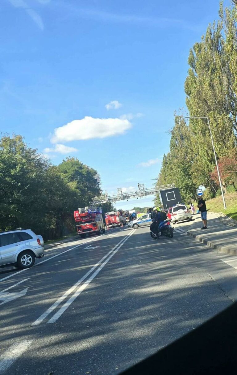 Służby w akcji na DK-79 w Krzeszowicach – zagrożenie skokiem z bramownicy