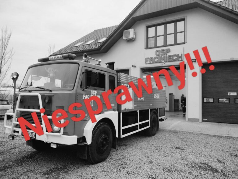 Strażacy z Facimiecha bez wozu, ale nie bez ducha. Pomóż im wrócić do akcji!